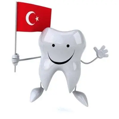 Why Turkey Why Turkey